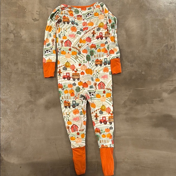 Little Sleepies Happy Harvest Zippy size 18-24 months - Picture 8 of 10